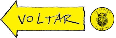 Voltar a Página Anterior